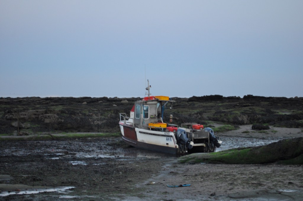 Sonnet: 8th September&nbsp;2018