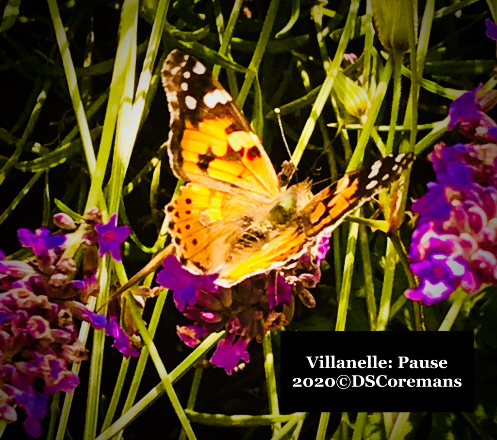 Villanelle – Pause