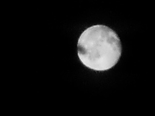 Sonnet: Hear the&nbsp;Silence