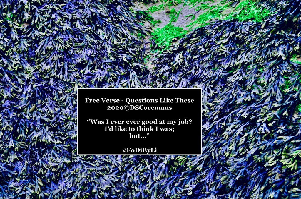 Free Verse – Questions Like&nbsp;These