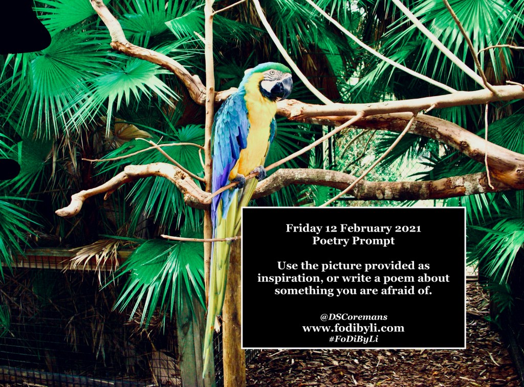 Poetry Prompt – 12 February&nbsp;2021