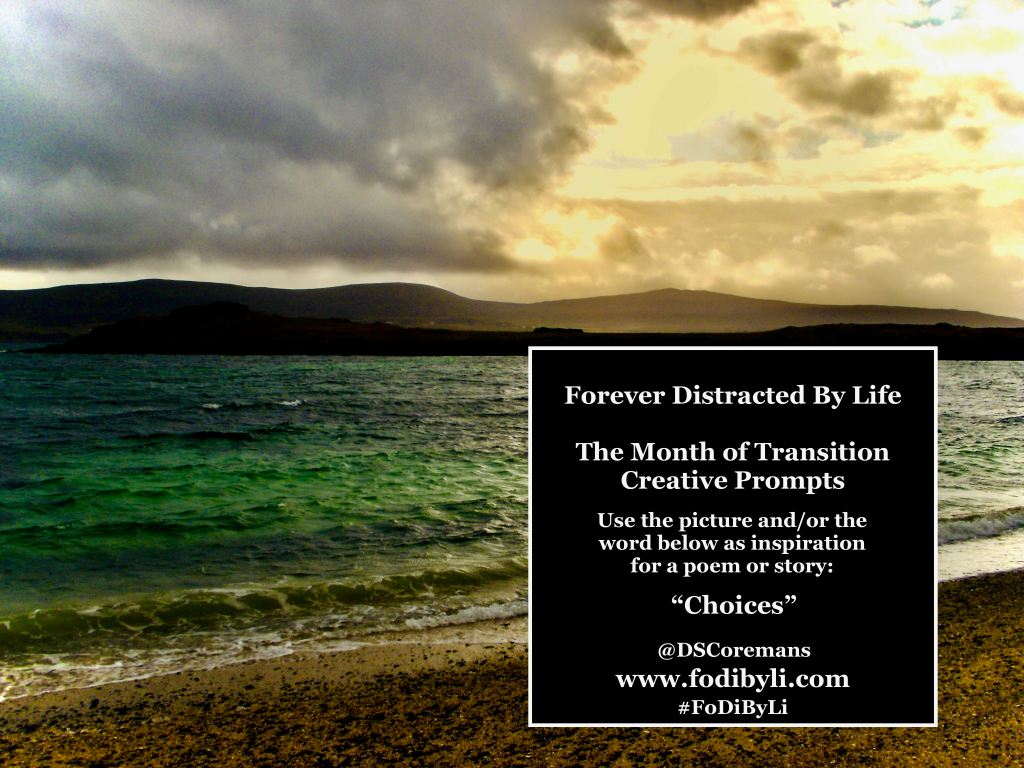 #FoDiByLi Writing Prompt: The Month of Transition #20 –&nbsp;Choices
