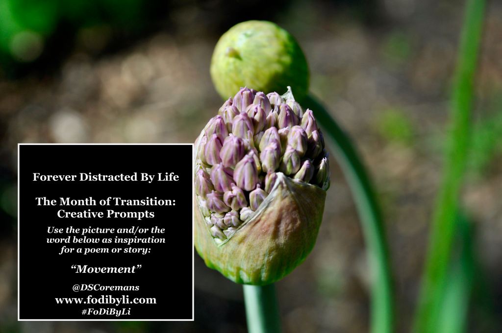#FoDiByLi Writing Prompt: The Month of Transition #13 –&nbsp;Movement