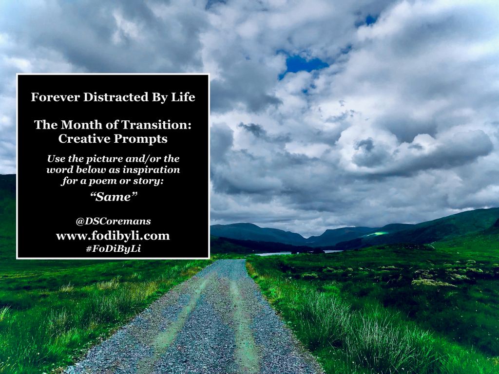 #FoDiByLi Writing Prompt: The Month of Transition #07 –&nbsp;Same