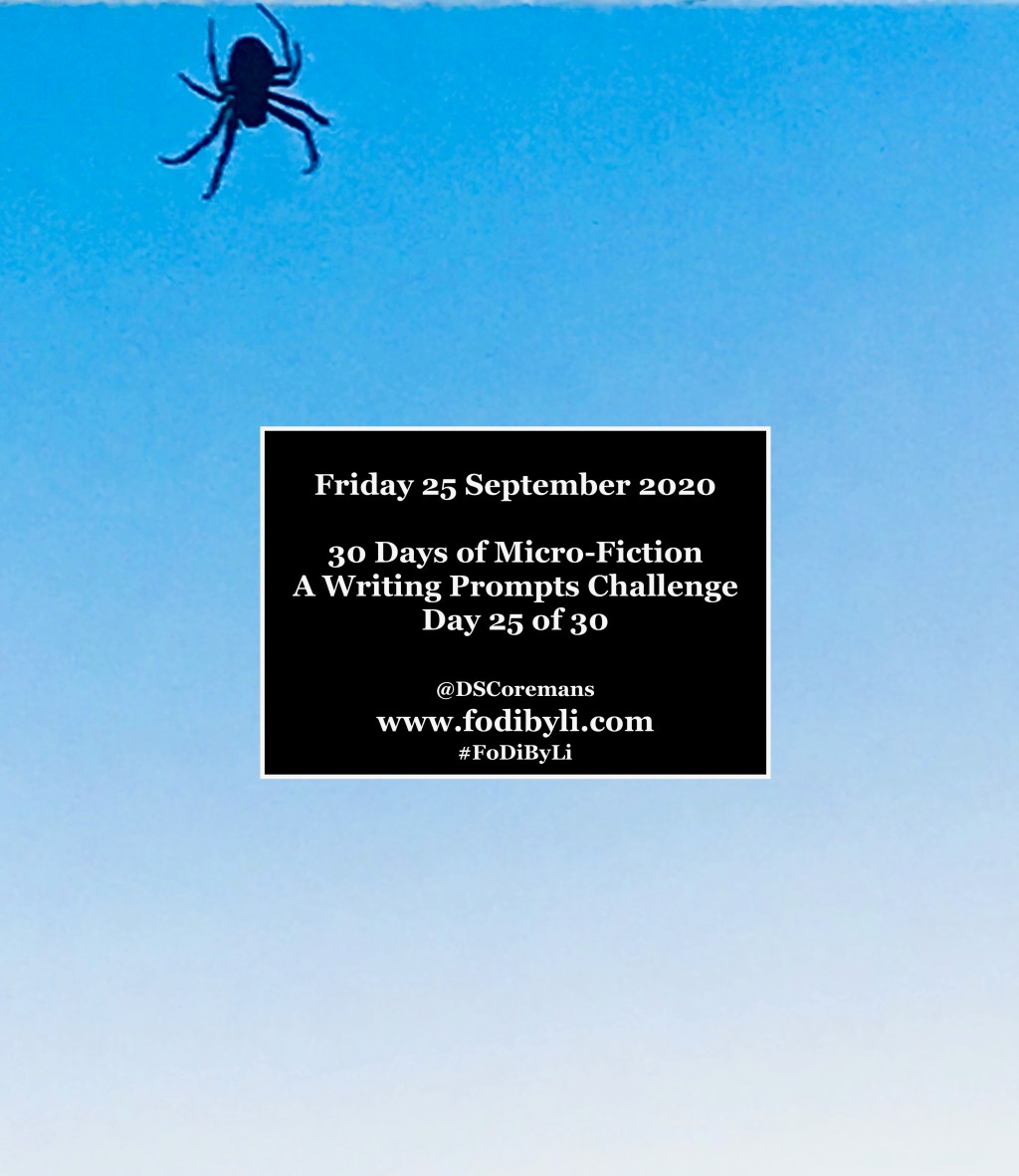 30 Days of Micro-Fiction – Prompt 25 of&nbsp;30