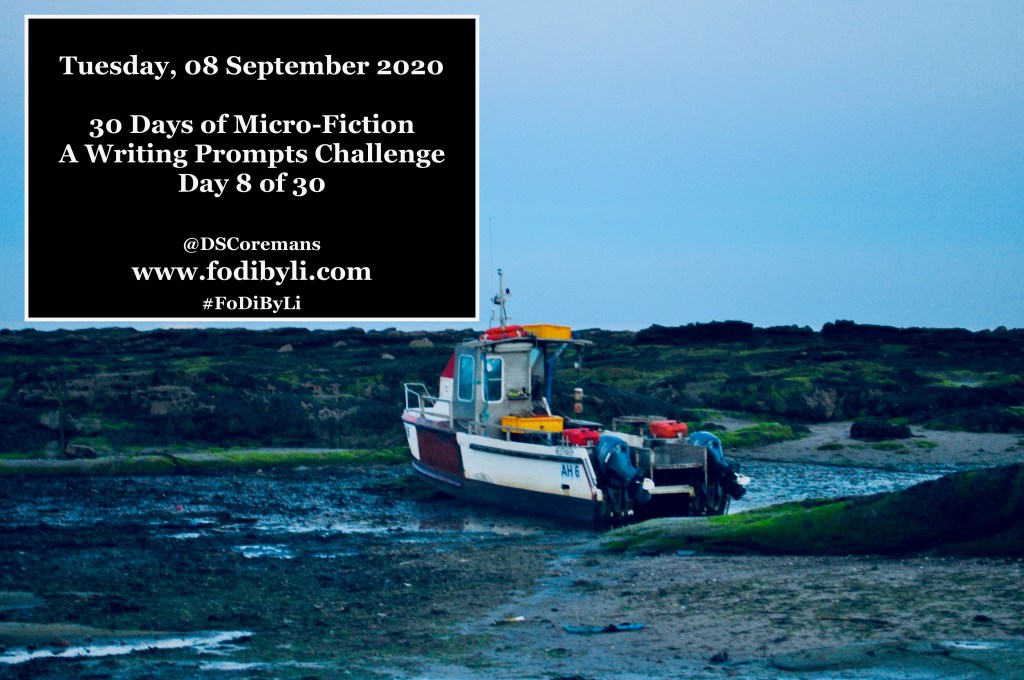 30 Days of Micro-Fiction – Prompt 8 of&nbsp;30