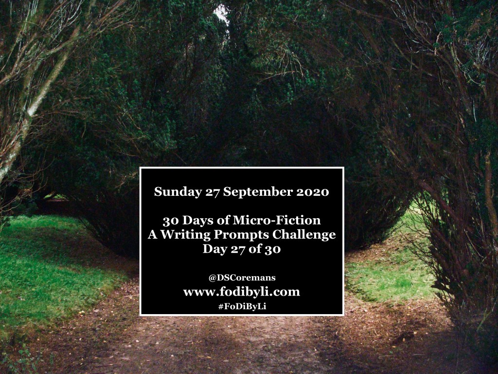 30 Days of Micro-Fiction – Prompt 27 of&nbsp;30
