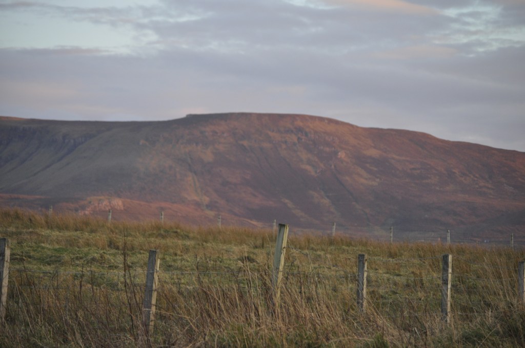 Free Verse: Honourable&nbsp;Intentions