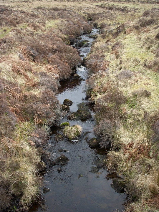 Sonnet: The Donald’s&nbsp;Nightmare