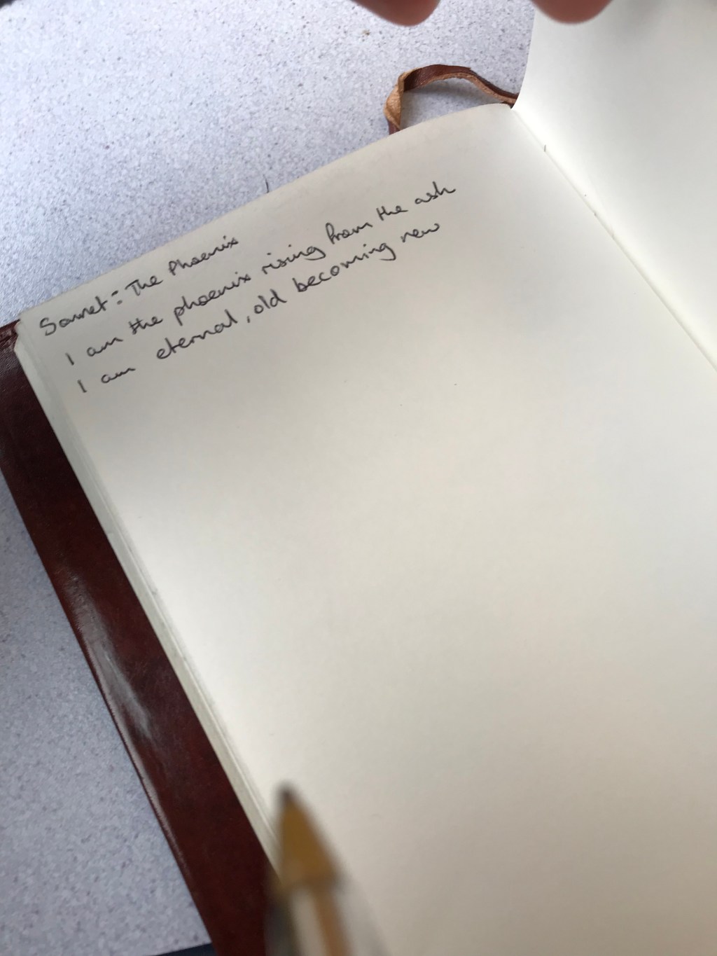 Personal Blog: On The&nbsp;Train