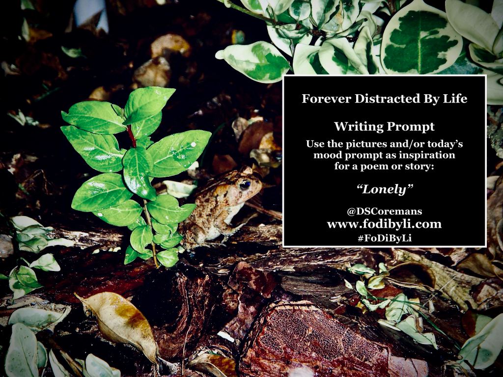 #FoDiByLi Writing Prompt: The Month of Mood #19 –&nbsp;Lonely