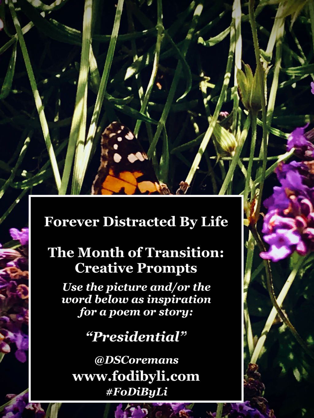 #FoDiByLi Writing Prompt: The Month of Transition #8.5 –&nbsp;Presidential