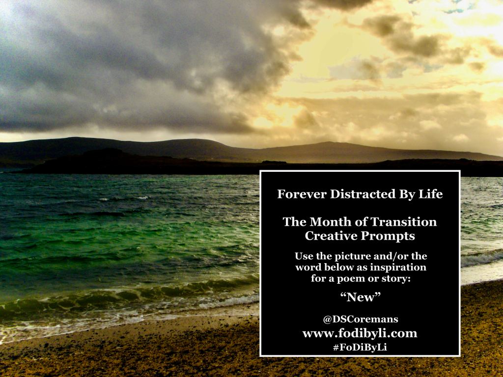 #FoDiByLi Writing Prompt: The Month of Transition #08 –&nbsp;New