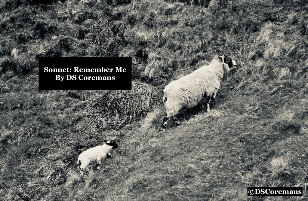 Sonnet: Remember Me