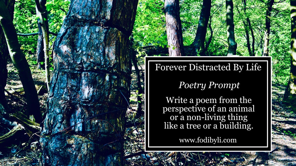 #FoDiByLi Poetry Prompt
