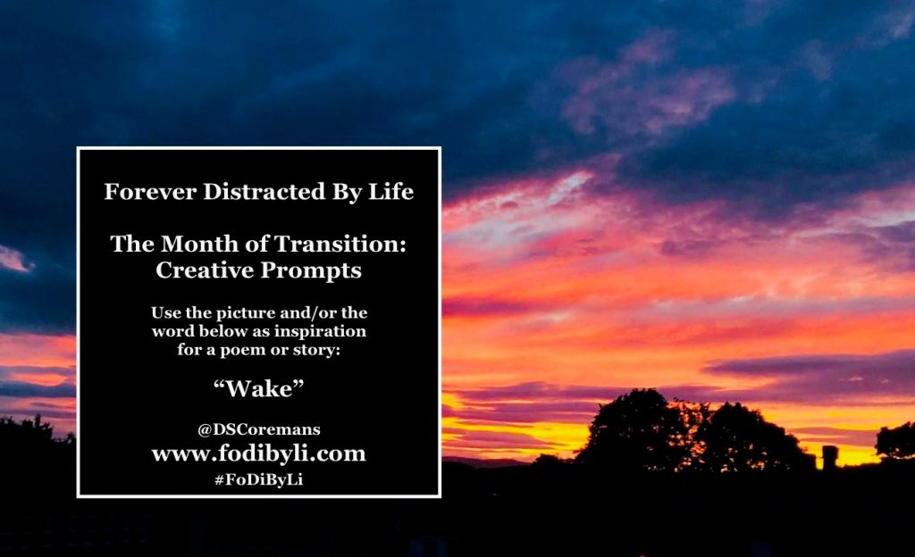 #FoDiByLi Writing Prompt: The Month of Transition #11 –&nbsp;Wake