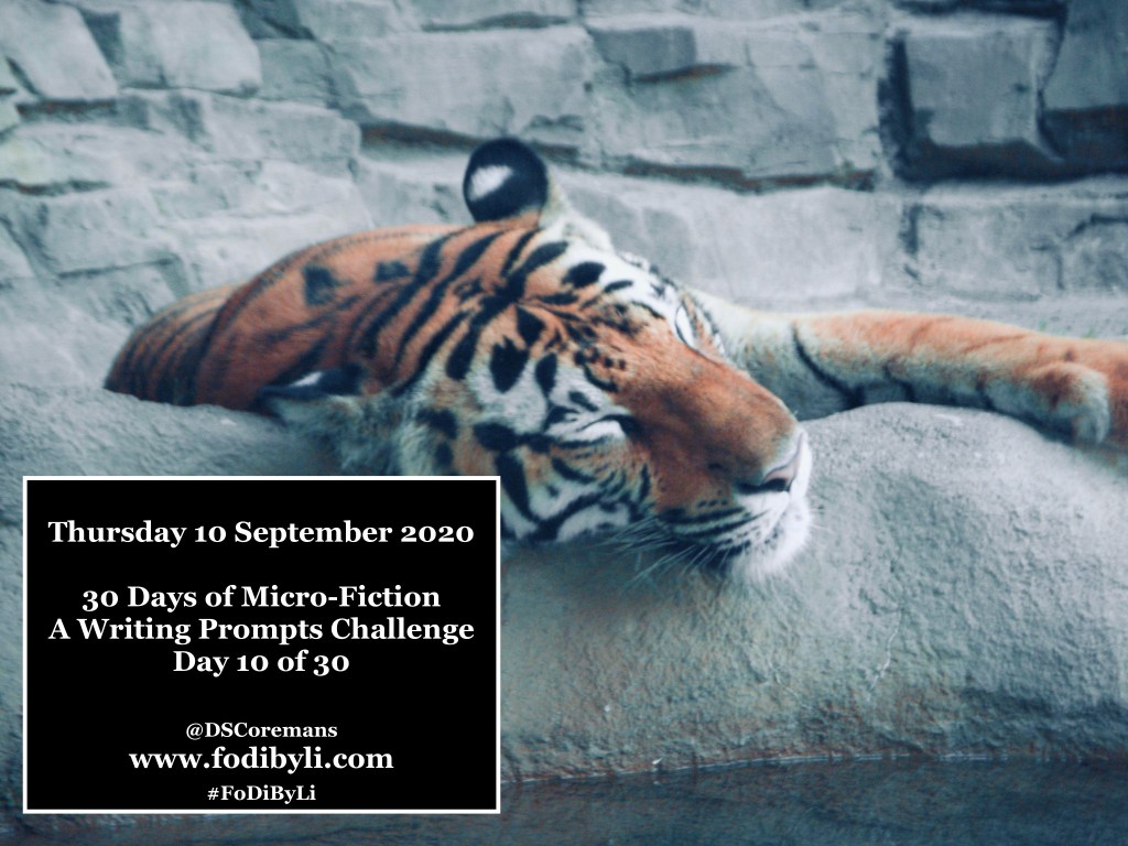 30 Days of Micro-Fiction – Prompt 10 of&nbsp;30