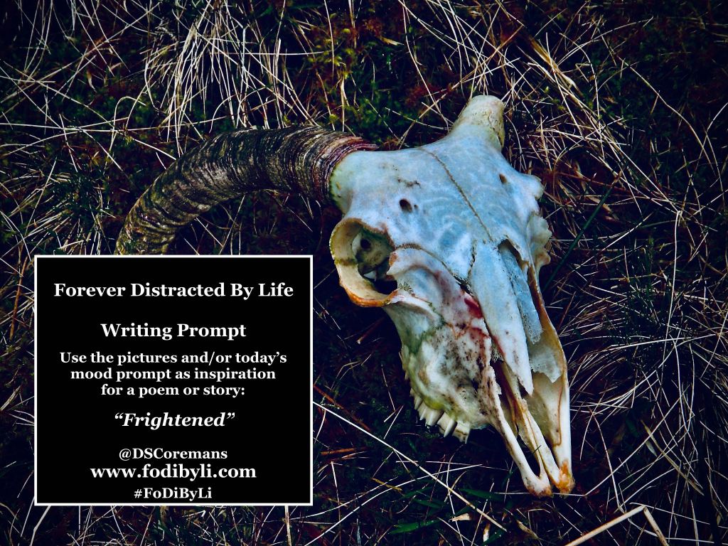#FoDiByLi Writing Prompt: The Month of Mood #27 –&nbsp;Frightened