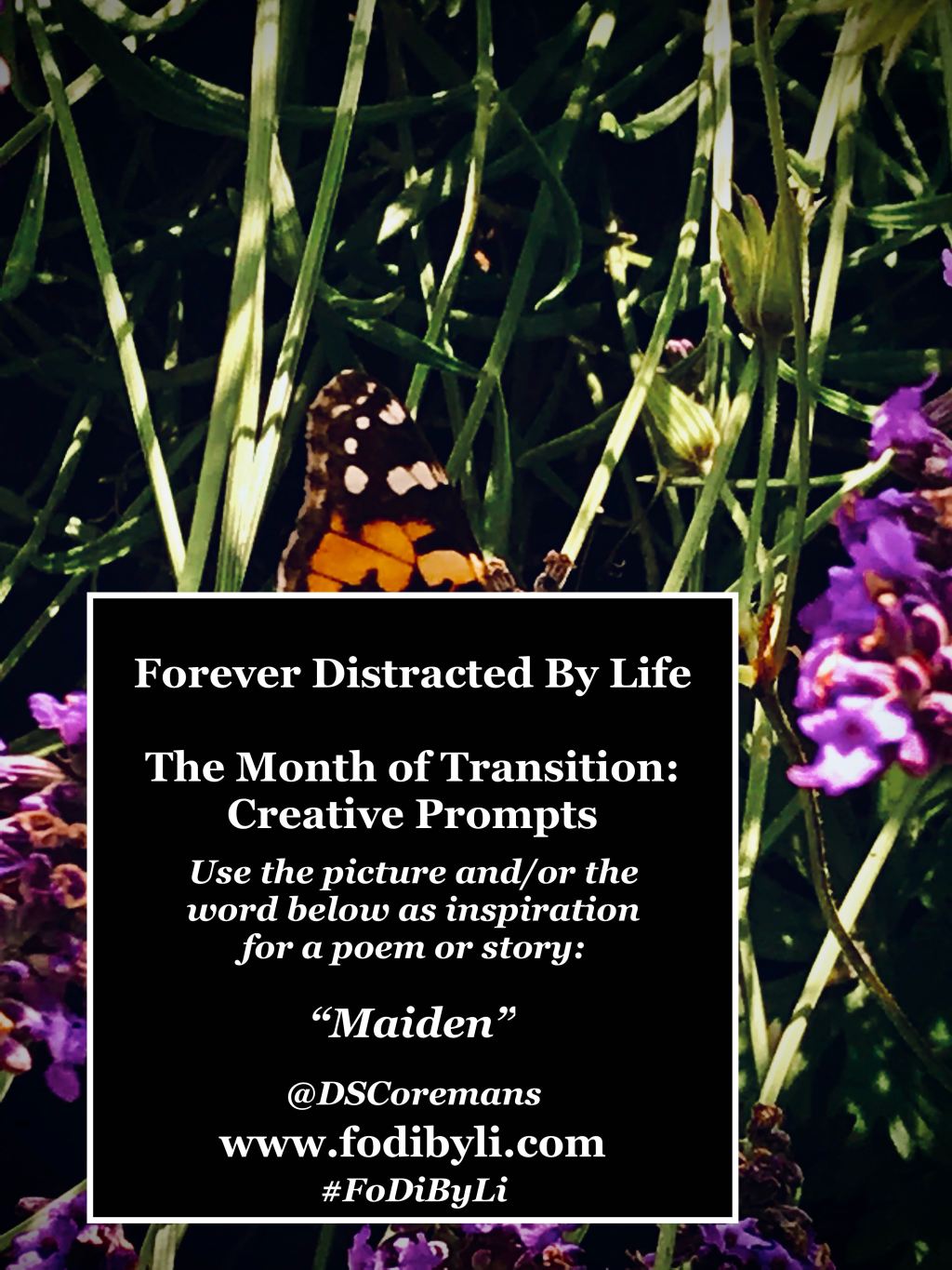 #FoDiByLi Writing Prompt: The Month of Transition #10 –&nbsp;Maiden