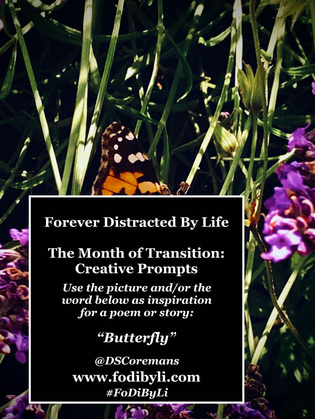 #FoDiByLi Writing Prompt: The Month of Transition #24 –&nbsp;Butterfly