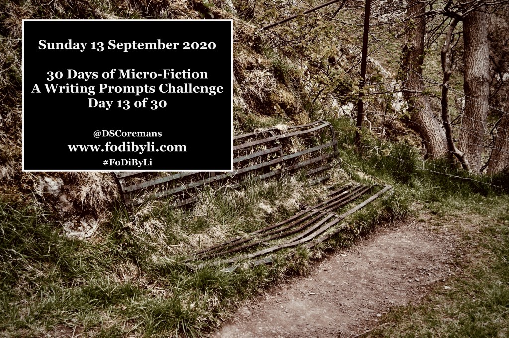 30 Days of Micro-Fiction – Prompt 13 of&nbsp;30