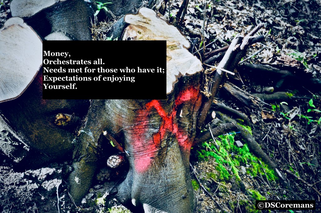 Acrostic Cinquain: Money