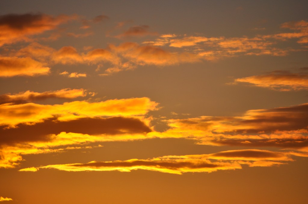 Sonnet: Looking for&nbsp;Love