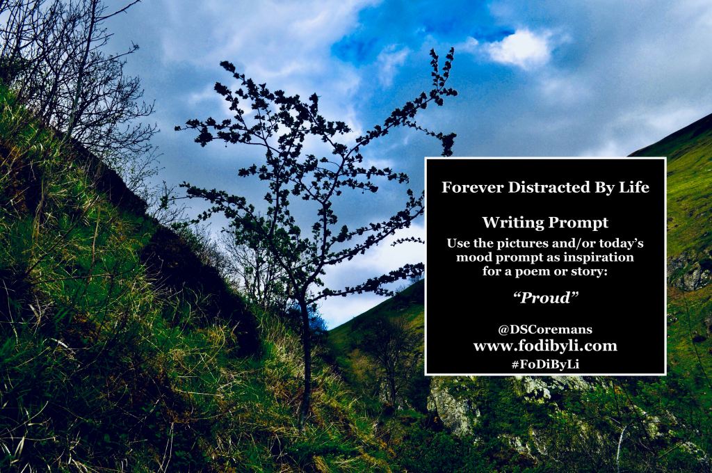 #FoDiByLi Writing Prompt: The Month of Mood #7 –&nbsp;Proud