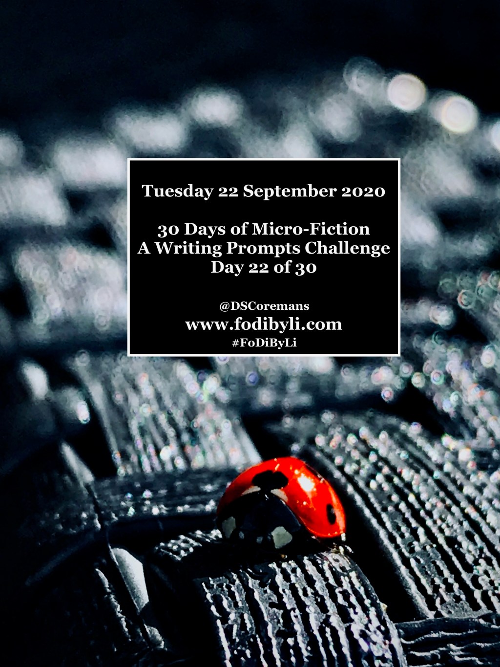 30 Days of Micro-Fiction – Prompt 22 of&nbsp;30