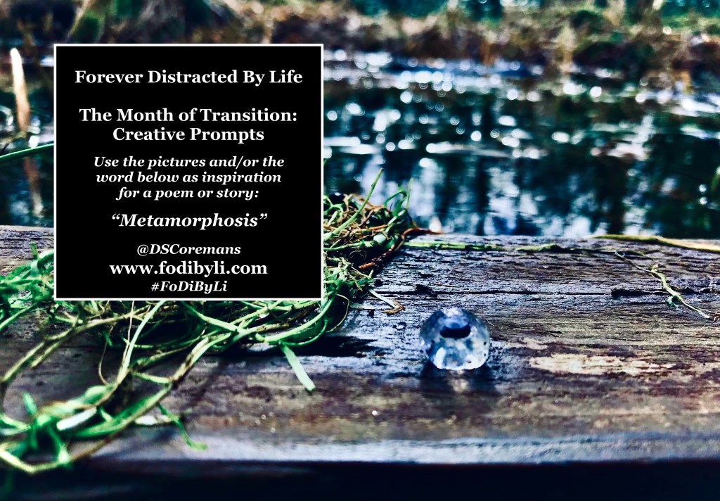 #FoDiByLi Writing Prompt: The Month of Transition #15.5 –&nbsp;Metamorphosis