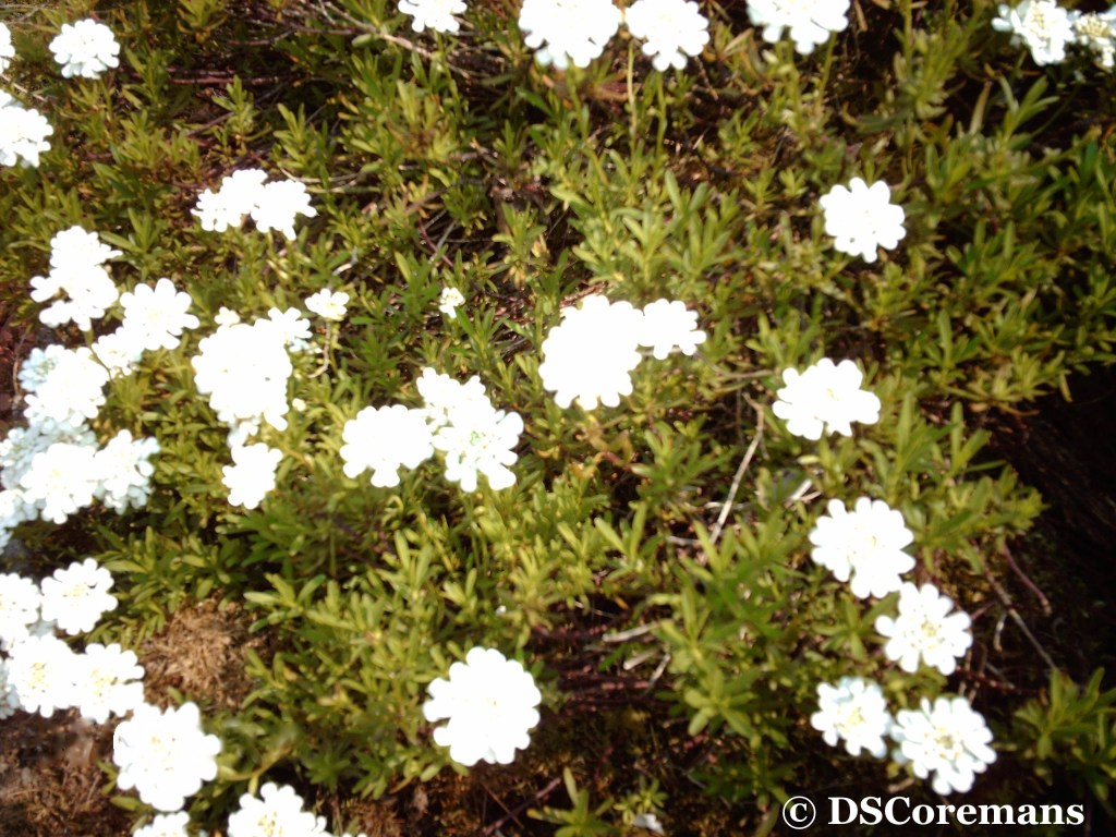 Response to “When I’m Beside&nbsp;You”