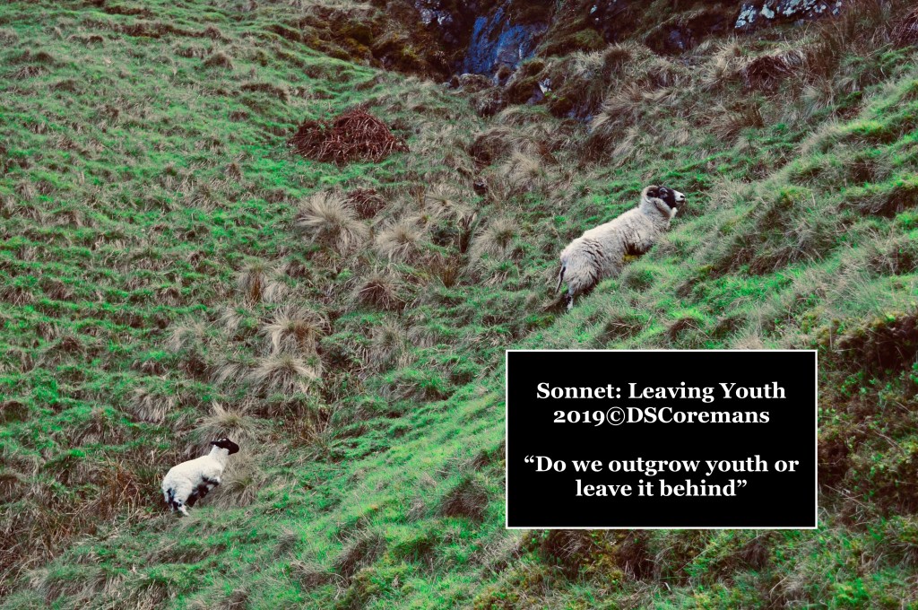 Sonnet – Leaving&nbsp;Youth