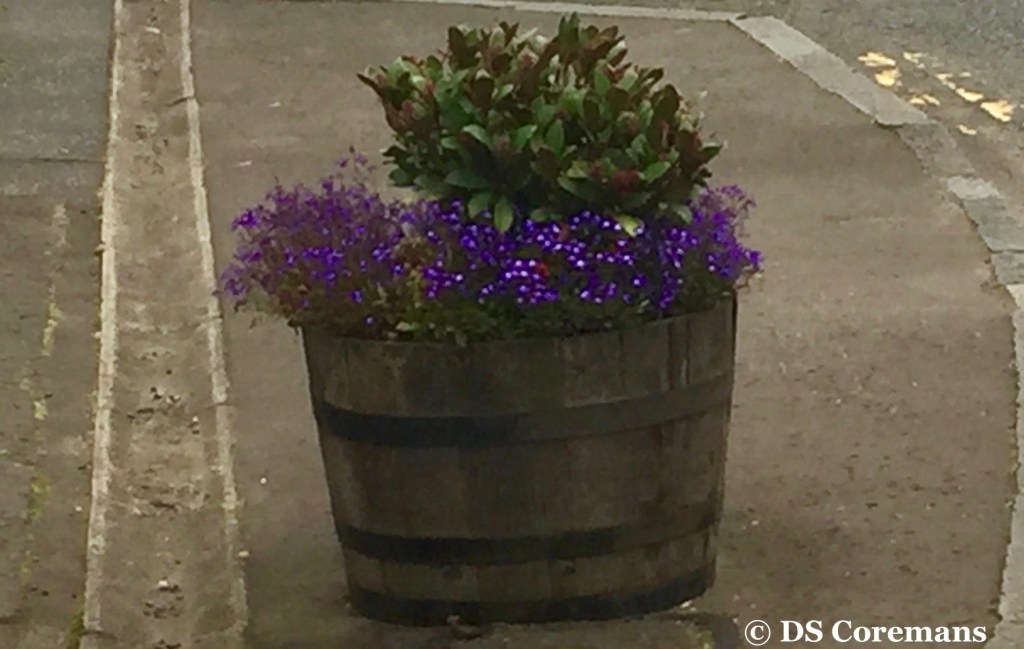 Poetry: – Verse Form – I&nbsp;Spoke