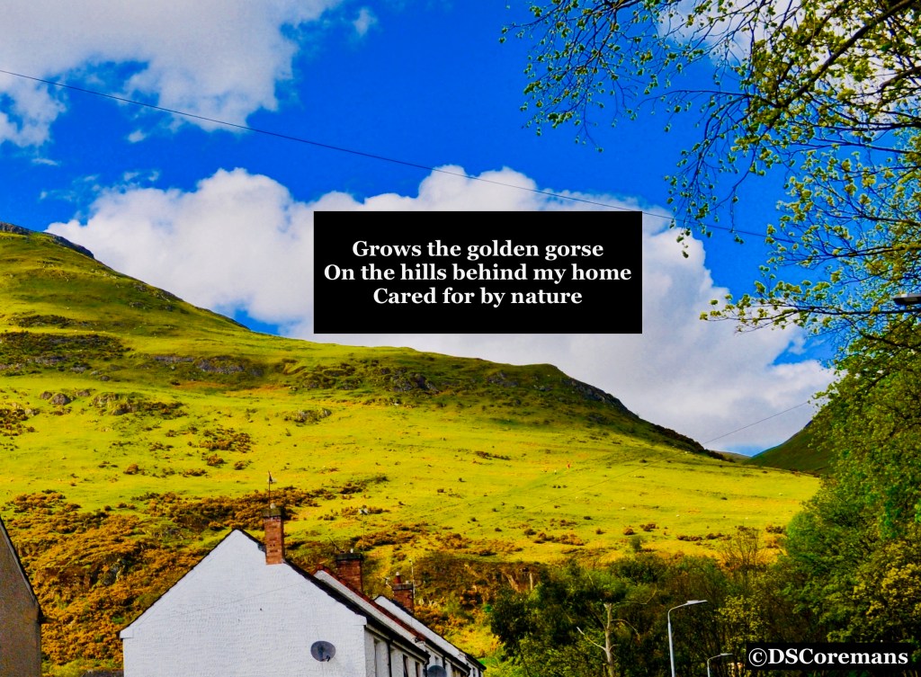 Haiku: On The&nbsp;Hills