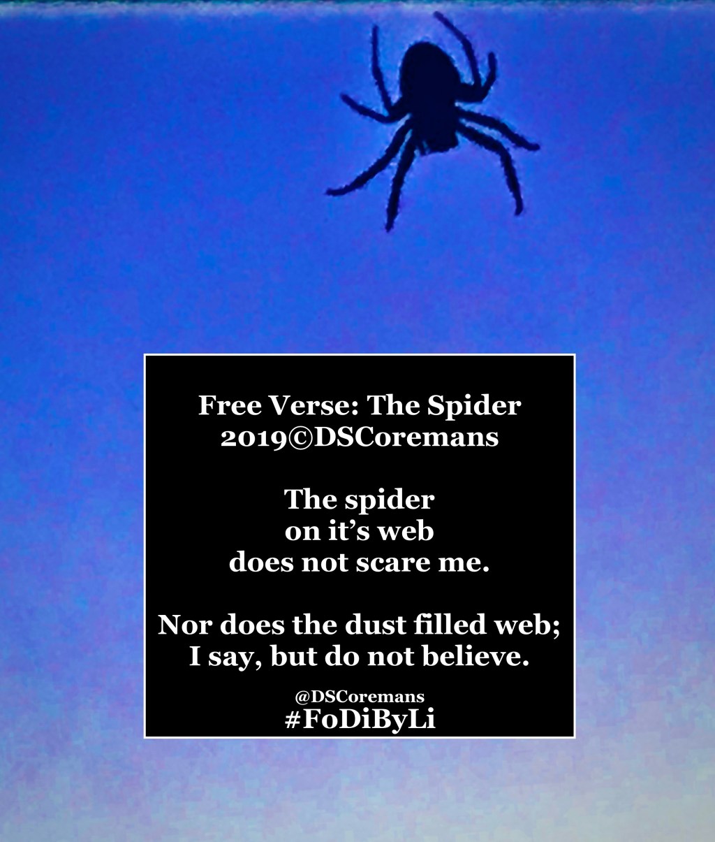 Free Verse: The&nbsp;Spider