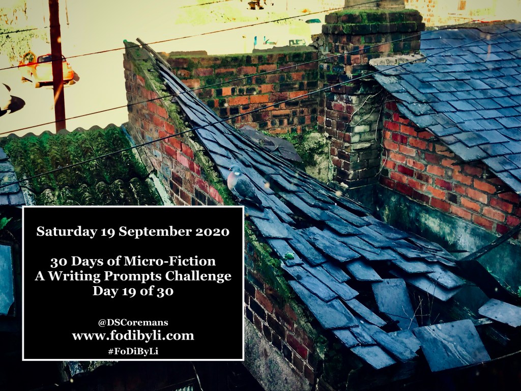 30 Days of Micro-Fiction – Prompt 19 of&nbsp;30