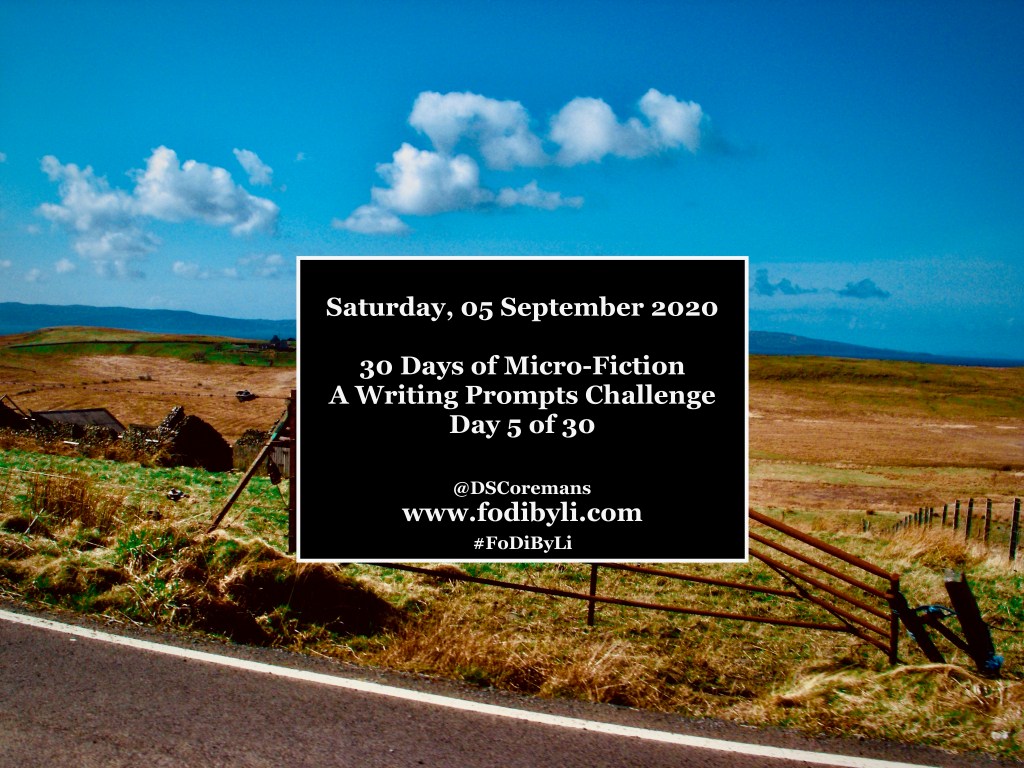 30 Days of Micro-Fiction – Prompt 5 of&nbsp;30
